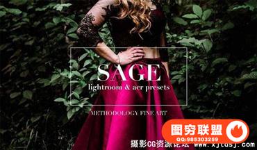 电影灵感胶片Lightroom预设+ACR预设 Moody LR & ACR Presets