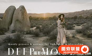 大师级人像情绪意境胶片摄影后期Lightroom预设/ACR预设