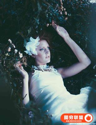 移动应用胶片仿真VSCO Lightroom预设 Mobile Presets 01