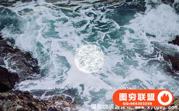 Tribe RedLeaf 室外婚礼胶片调色Lr预设 Element water ACR预设