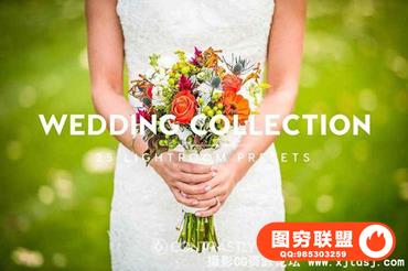 25组婚礼婚纱Lightroom预设合集 Wedding Collection Lightroom Presets