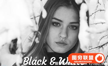 23组黑白Lightroom预设 23 Black & White Lightroom Presets