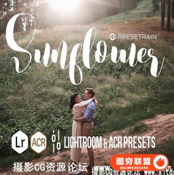 温暖自然的户外肖像,婚礼和景观Lightroom预设+ACR预设