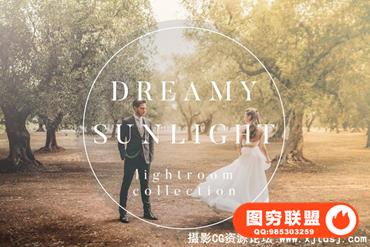 梦幻美丽阳光采集肖像Lightroom预设合集