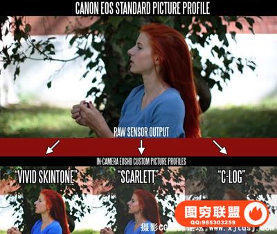 佳能EOSHD C-LOG和Film svipcuns Pack电影配置预设包