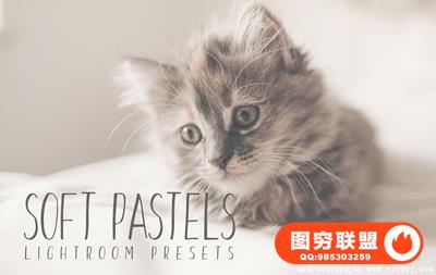 极致柔和色调人文Lightroom预设 Soft Pastel Lightroom Presets