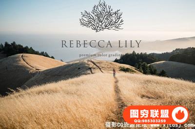 国外顶级胶片Lightroom预设 Rebecca Lily Pro Set IV 第四季