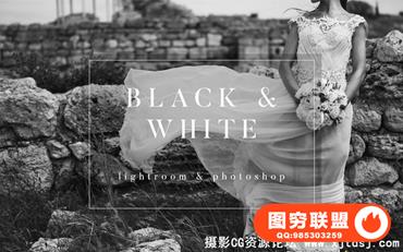 黑白婚纱婚礼摄影颗粒胶片Lightroom预设+ACR预设