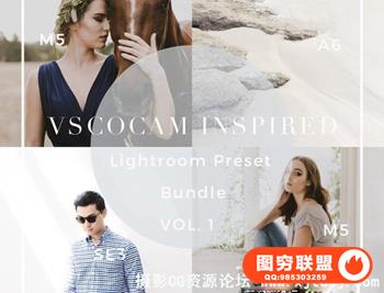 VSCO Cam Lightroom预设合集 VSCO inspired Lightroom Preset Bundle