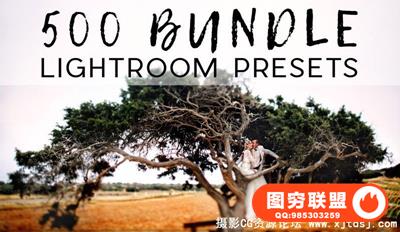 500专业版Lightroom预设+ACR预设 500 Pro Lightroom Preset Bundle