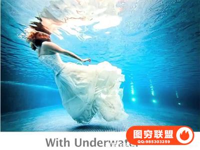 水下摄影-海洋生物，冲浪等水下摄影及后期教程