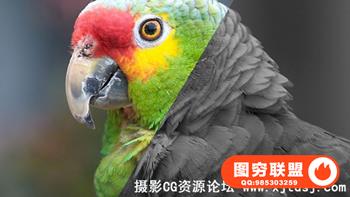 琳达-Photoshop CC 无损曝光和颜色校正