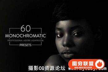 60组质感单色黑白哑光Lightroom预设