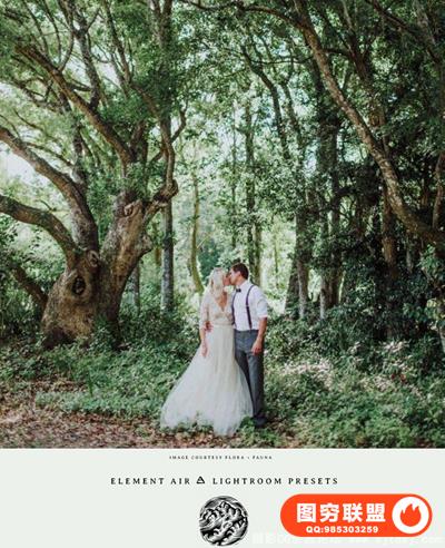 Tribe RedLeaf- Element Air 部落红叶出品的空气元素LR预设+ACR套件