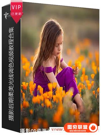 Lisa Holloway摄影后期柔美光线调色视频教程合集