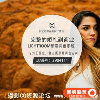 完整的婚礼到商业Lightroom预设调色系统（售价250美金）