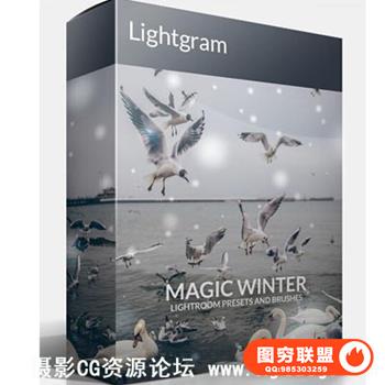 Lightgram出品 Magic Winter雪景预设包（含笔刷）
