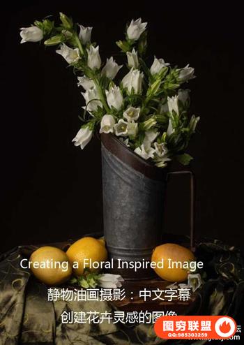 静物油画摄影-创建灵感花卉油画风格摄影布光教程-中文字幕