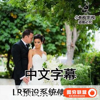 LR人像预设系统使用技巧视频教程中文字幕附带素材