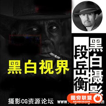 李涛高高手-段岳衡课程： 段岳衡和他的黑白视界【高清】