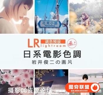 日系岩井俊二画风格/日系胶片电影文艺Lightroom预设