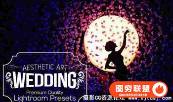 31组高雅婚礼调色预设Lightroom模板