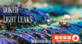 70组散景氛围光Lightroom预设