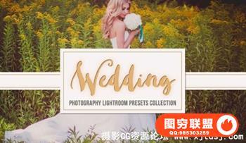 浪漫唯美婚礼调色特效Lightroom预设