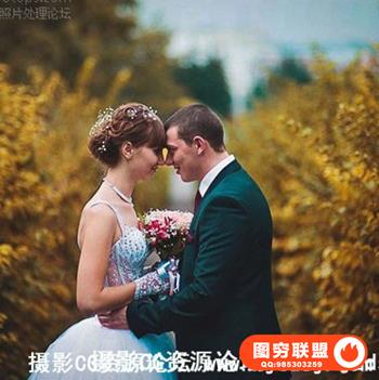 7美金9个lightroom婚礼摄影调色预设，9 pro wedding presets