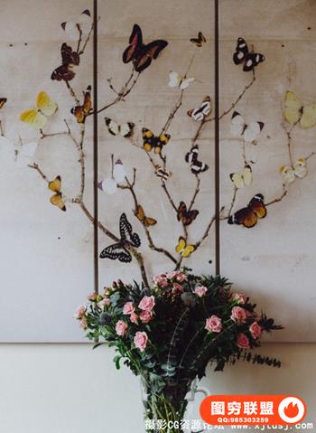 拍立得风格和富士胶片效果 RNI FILMS 3.0 近70个预设