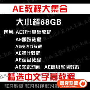 After Effects 视频教程大集合 AE完全自学教程视频资料 中文字幕