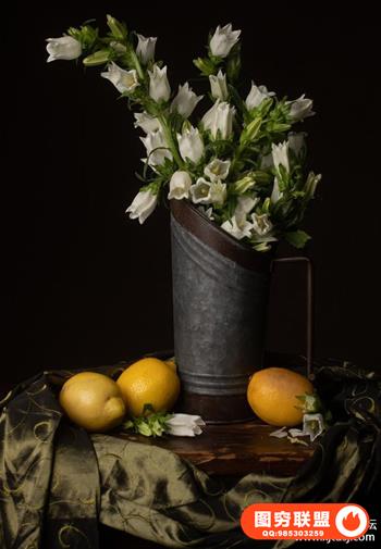 静物油画摄影：创建花卉灵感的图像