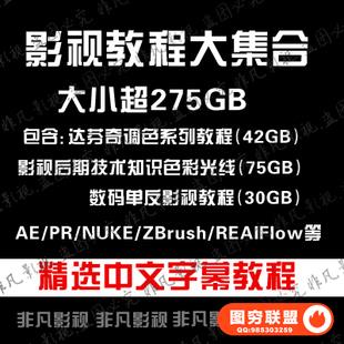 影视后期剪辑视频制作教程 达芬奇调色教程+AE+ZBrush+Realflow