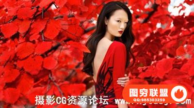 艾德勒琳赛摄影师的时装风格