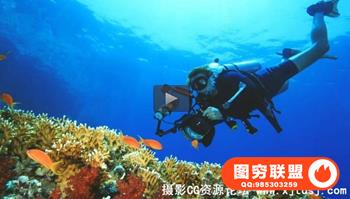 Udemy-成为一名水下摄影师基础知识教程