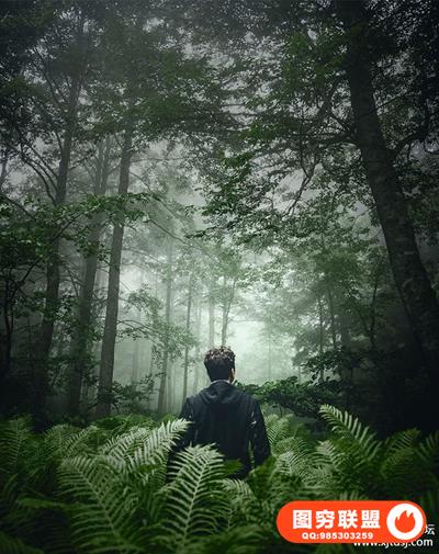 Phlearn Pro-Photoshop中的深色和穆迪着色附带RAW素材