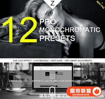 经典单色黑白电影级Lightroom预设 Monochromatic Pro Presets