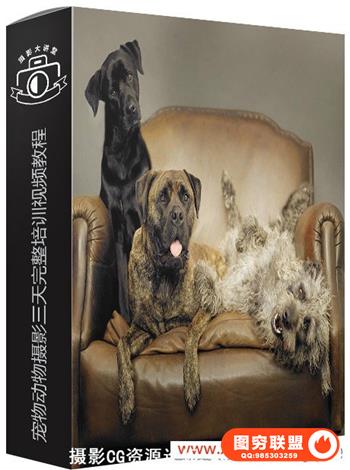 宠物摄影师麦克纳黑尔动物摄影三天完整培训教程（）