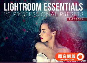 25个基础Lightroom预设—第3部分