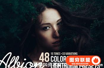 48个专业塑身Lightroom预设Colorgrading LR Presets