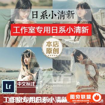 工作室专用日系小清新日系调色教程lr预设