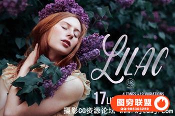 丁香 - 17爽肤的Lightroom预设