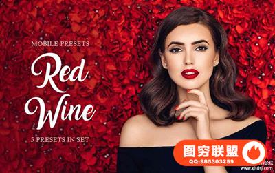 通透明亮红酒色调Lightroom预设/移动APP预设 Red Wine Mobile Presets