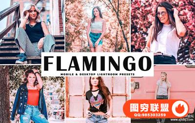 柔和珊瑚粉色调人像LR预设+手机版APP预设 Flamingo Pro Lightroom