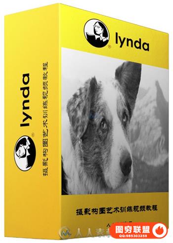 摄影构图艺术训练视频教程