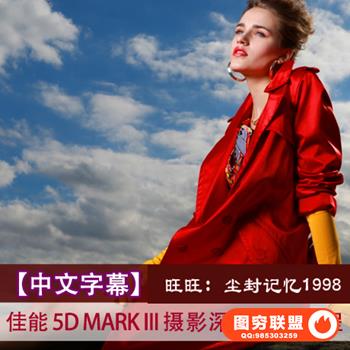 E117-5D Mark III 全功能使用 5D3 精讲教程高清中文字幕教程