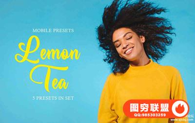 清晰通透去灰润色Lightroom预设/移动APP预设Lemon Tea Mobile Presets