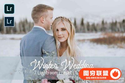 冬季婚礼电影胶片LR预设/APP预设 Winter Wedding Lightroom Presets