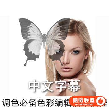 E238-PS教程 色彩编辑技术 调色师高级教程 调色视频教程 中文字幕