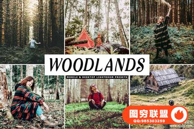 丛林探险旅拍风景Lightroom预设/APP预设 Woodlands Lightroom Presets